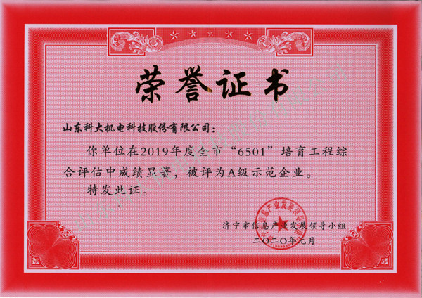 2019年度6501培育示范企业证书